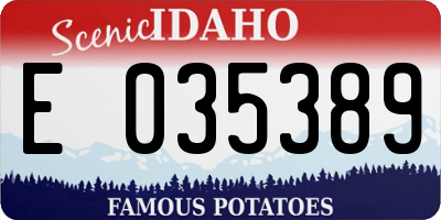 ID license plate E035389