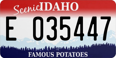 ID license plate E035447