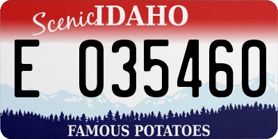 ID license plate E035460