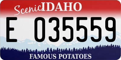 ID license plate E035559