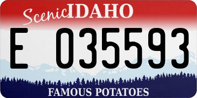 ID license plate E035593