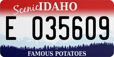 ID license plate E035609