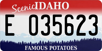 ID license plate E035623