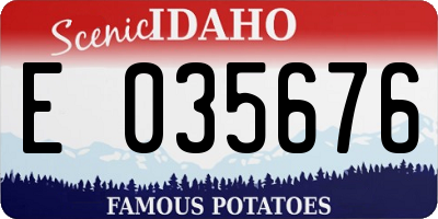 ID license plate E035676