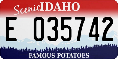 ID license plate E035742