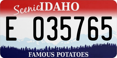 ID license plate E035765