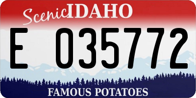 ID license plate E035772