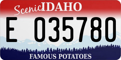 ID license plate E035780