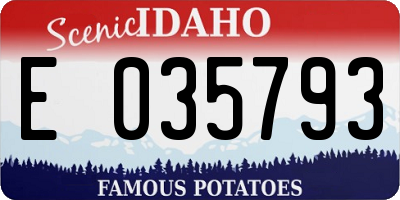 ID license plate E035793