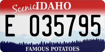 ID license plate E035795