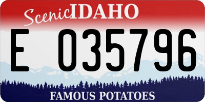 ID license plate E035796