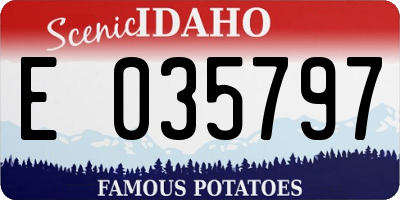 ID license plate E035797