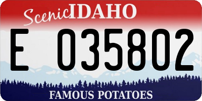 ID license plate E035802