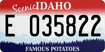 ID license plate E035822