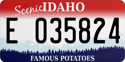 ID license plate E035824