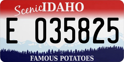 ID license plate E035825