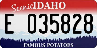 ID license plate E035828