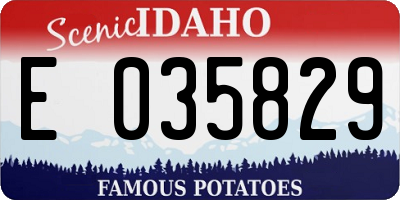 ID license plate E035829