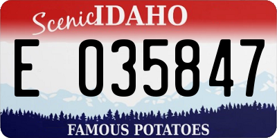 ID license plate E035847