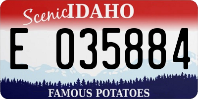 ID license plate E035884