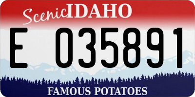 ID license plate E035891