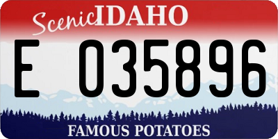 ID license plate E035896