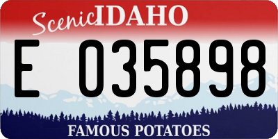 ID license plate E035898