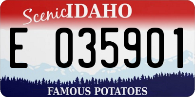 ID license plate E035901