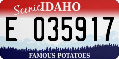 ID license plate E035917