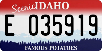 ID license plate E035919