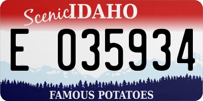 ID license plate E035934