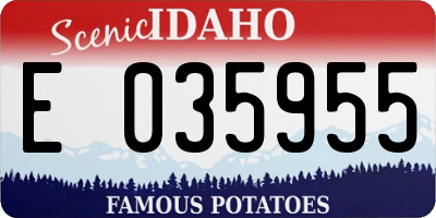 ID license plate E035955