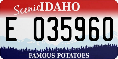 ID license plate E035960