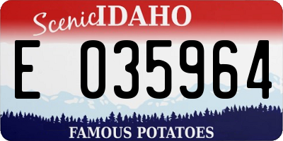 ID license plate E035964