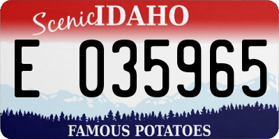 ID license plate E035965