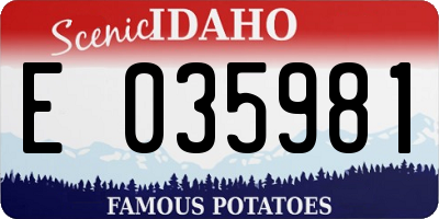 ID license plate E035981