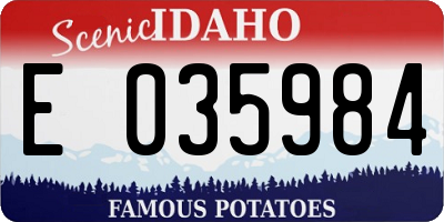 ID license plate E035984