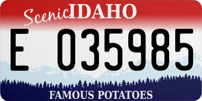 ID license plate E035985