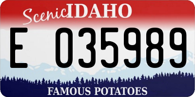 ID license plate E035989