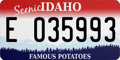 ID license plate E035993