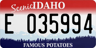 ID license plate E035994