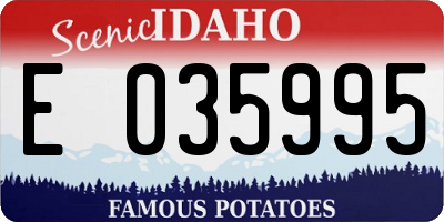 ID license plate E035995