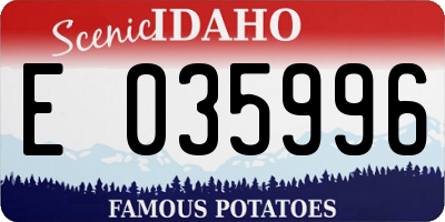 ID license plate E035996