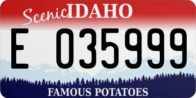 ID license plate E035999