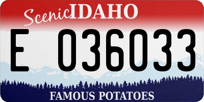 ID license plate E036033