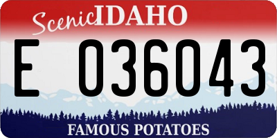 ID license plate E036043