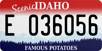 ID license plate E036056