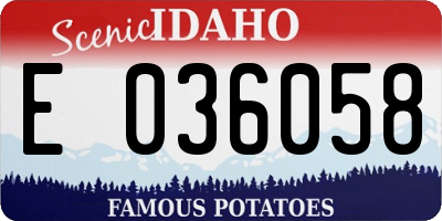 ID license plate E036058