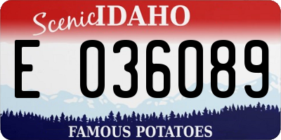 ID license plate E036089