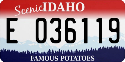 ID license plate E036119